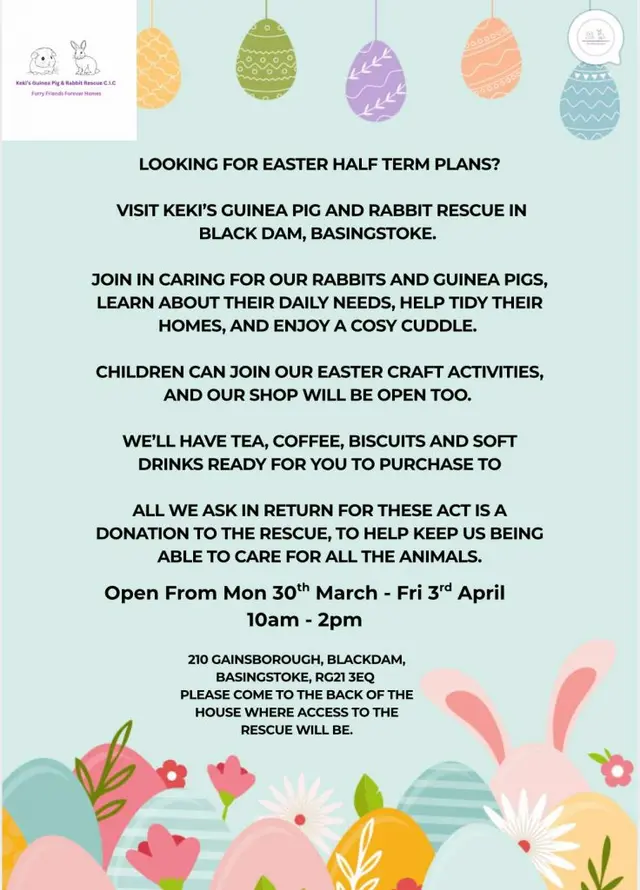 Easter half-term activities at Keki's Guinea Pig and Rabbit Rescue, 30th March - 4th April