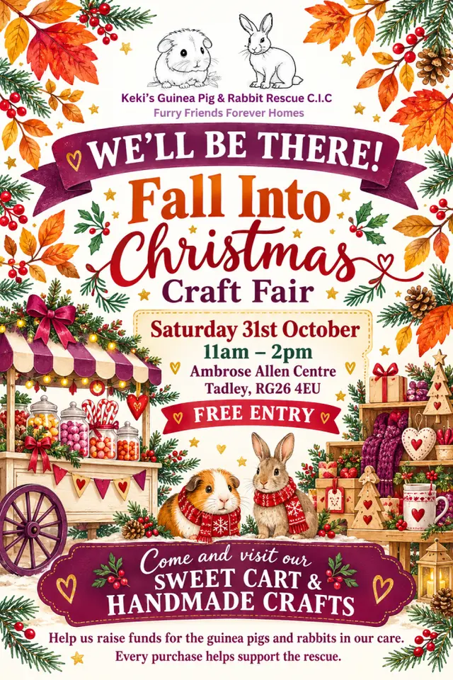 Fall Into Christmas Craft Fair – Saturday 31st October poster
