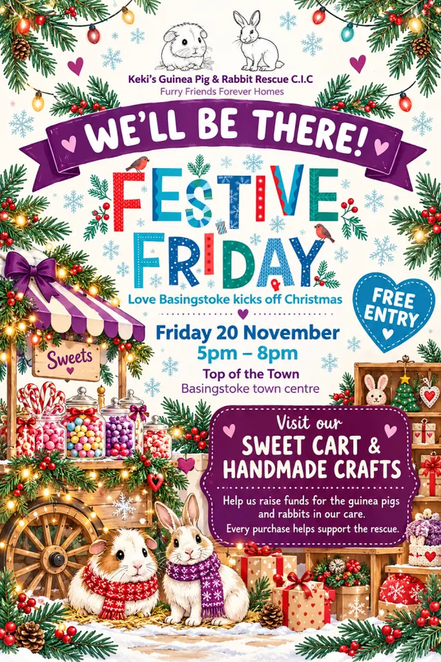Festive Friday – Friday 20th November poster