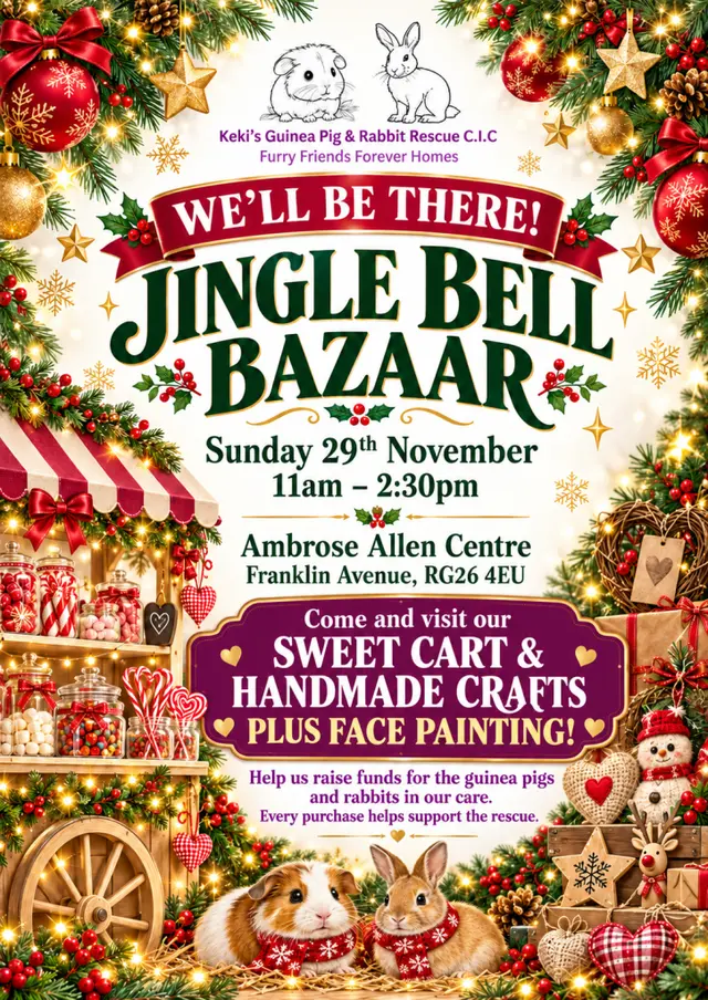 Jingle Bell Bazaar – Sunday 29th November poster