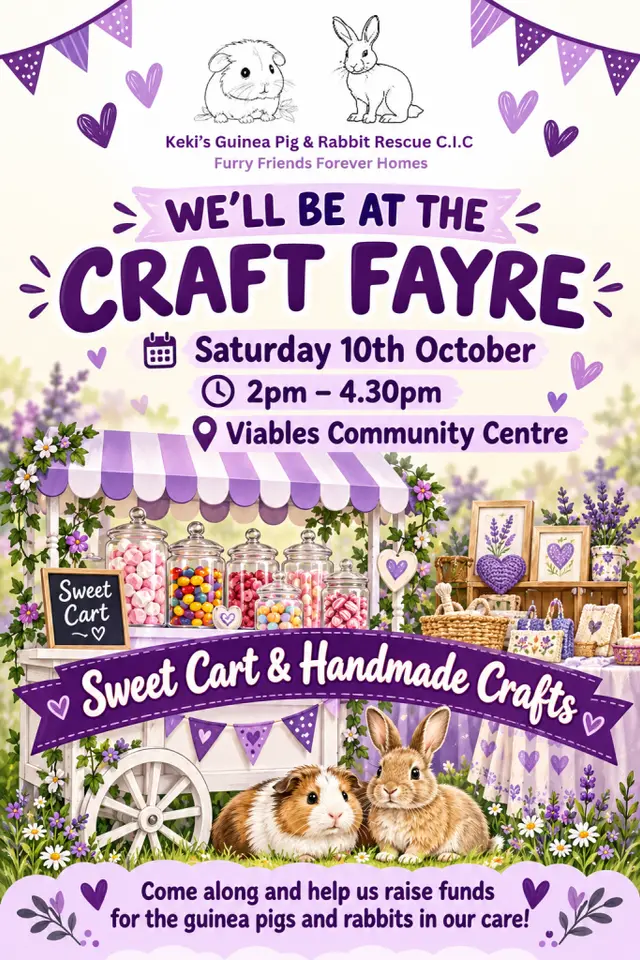 Viables Craft Fair – Saturday 10th October poster